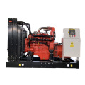 Biogas plant 20kw Small electric biogas engine generator with cummins engine